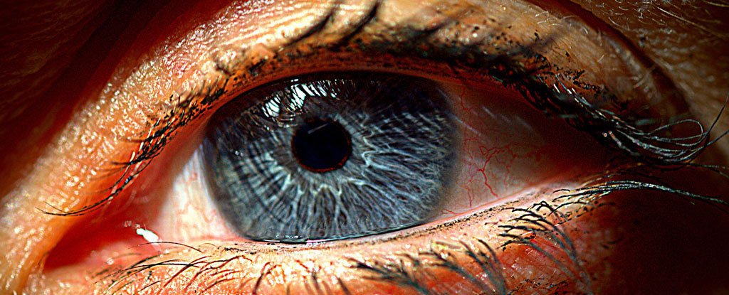 شبكية اصطناعية للعين