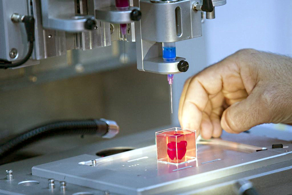 الطباعة ثلاثية الأبعاد لأعضاء القلب البشري