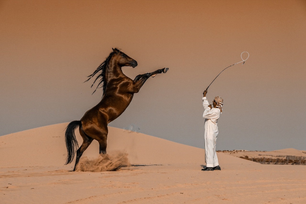 عباس الخميس يفوز بجائزة المملكة العربية السعودية الوطنية الممنوحة في إطار جوائز سوني العالمية للتصوير الفوتوغرافي