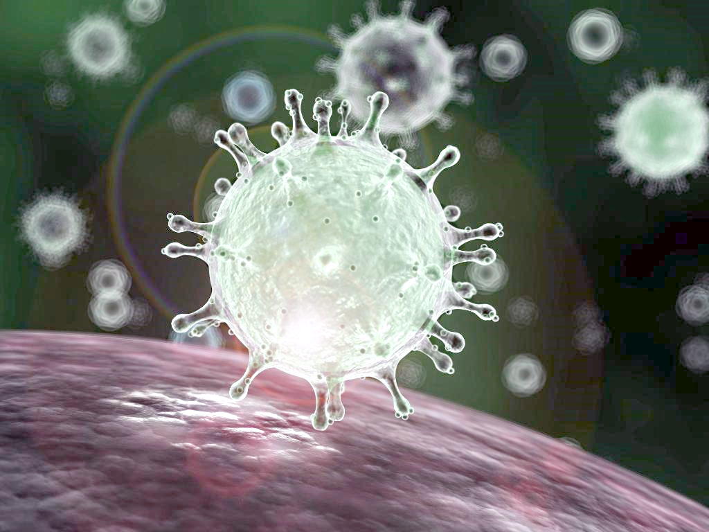 فيروس كورونا بعد التكبير آلاف المرات بواسطة المجهر