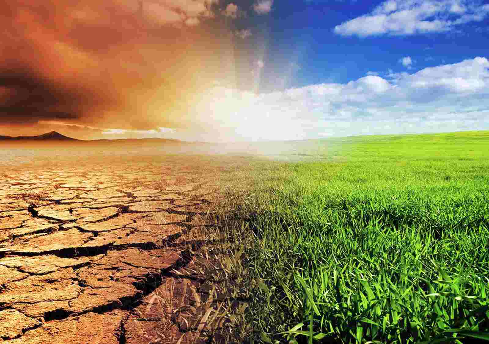 التغيرات المناخية تنذر بمجاعة عالمية