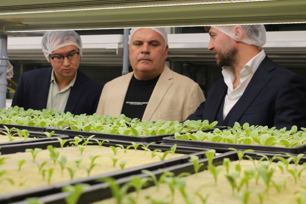 جرينيريشن للمنتجات الزراعية المتخصصة تعلن عن إطلاق أعمالها في دبي